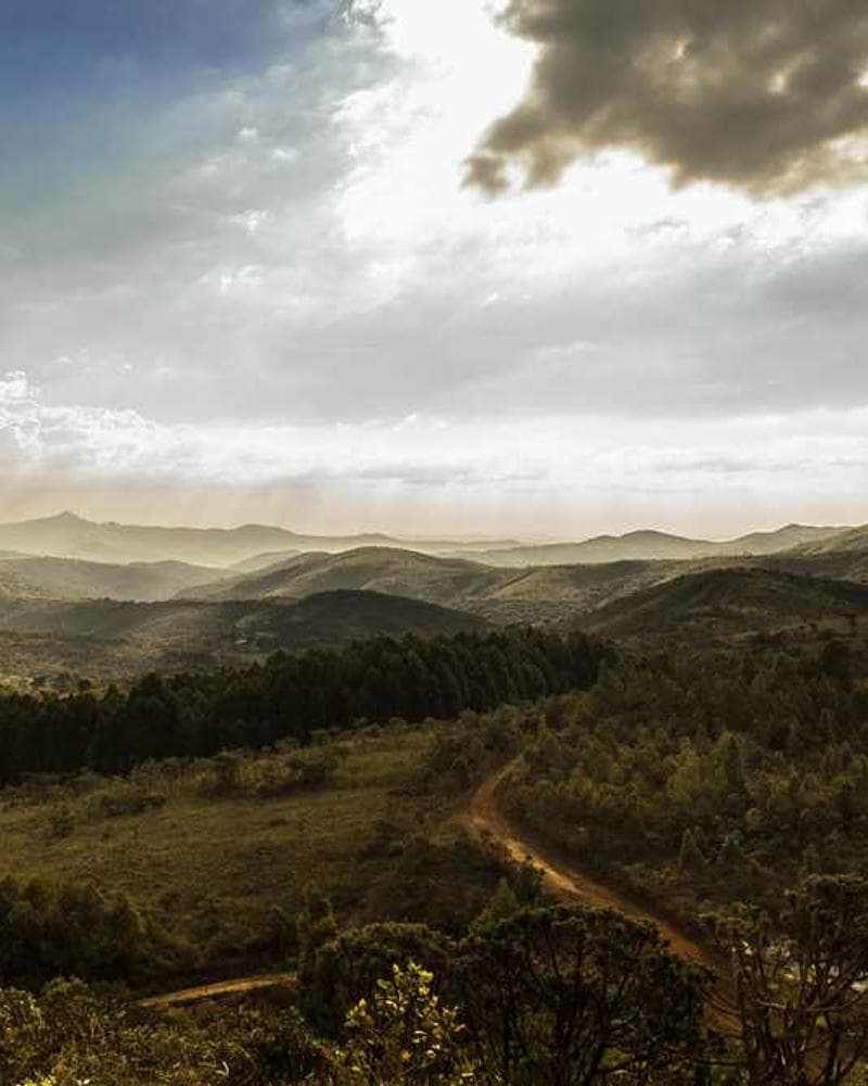 Sahara Hoodie view 2