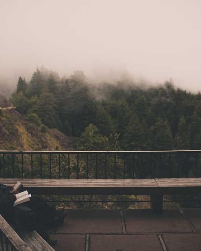 Motherland Tee view 3